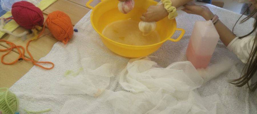 IMG-20220420-WA0010-1