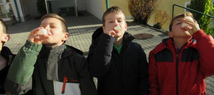 IMG_7661